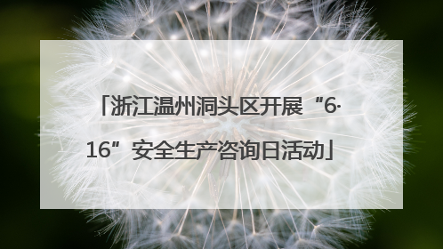 浙江温州洞头区开展“6·16”安全生产咨询日活动