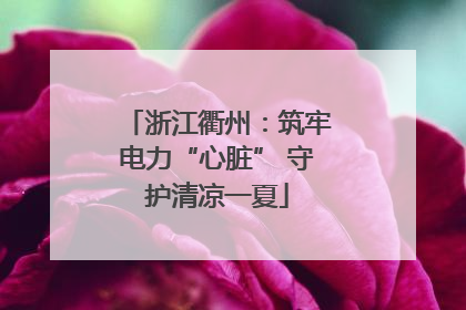 浙江衢州：筑牢电力“心脏” 守护清凉一夏