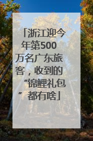 浙江迎今年第500万名广东旅客，收到的“锦鲤礼包”都有啥