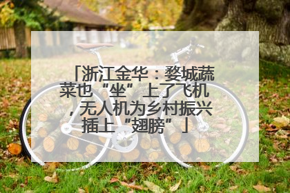 浙江金华：婺城蔬菜也“坐”上了飞机，无人机为乡村振兴插上“翅膀”