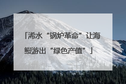 浠水“锅炉革命”让海鳗游出“绿色产值”