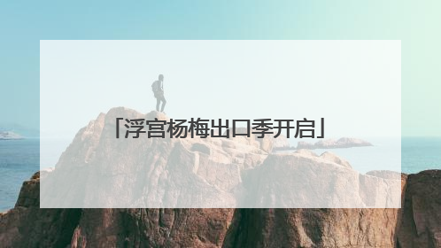 浮宫杨梅出口季开启