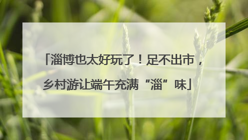 淄博也太好玩了！足不出市，乡村游让端午充满“淄”味