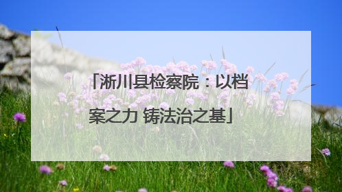 淅川县检察院：以档案之力 铸法治之基