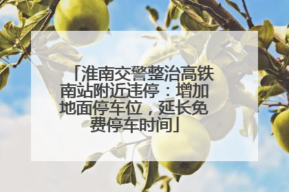 淮南交警整治高铁南站附近违停：增加地面停车位，延长免费停车时间