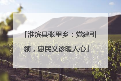 淮滨县张里乡：党建引领，惠民义诊暖人心
