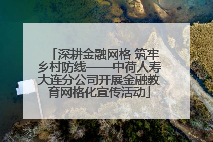 深耕金融网格 筑牢乡村防线——中荷人寿大连分公司开展金融教育网格化宣传活动