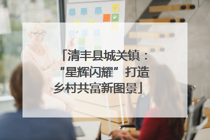 清丰县城关镇：“星辉闪耀”打造乡村共富新图景