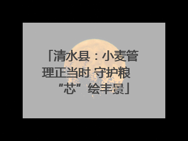 清水县：小麦管理正当时 守护粮“芯”绘丰景