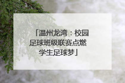 温州龙湾：校园足球班级联赛点燃学生足球梦