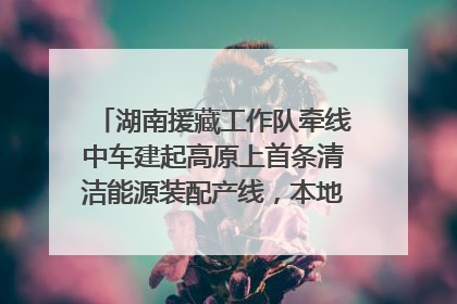 湖南援藏工作队牵线中车建起高原上首条清洁能源装配产线，本地大学生成车间检验员