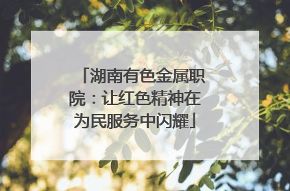 湖南有色金属职院：让红色精神在为民服务中闪耀