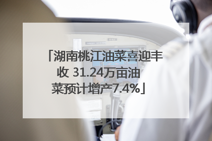 湖南桃江油菜喜迎丰收 31.24万亩油菜预计增产7.4%