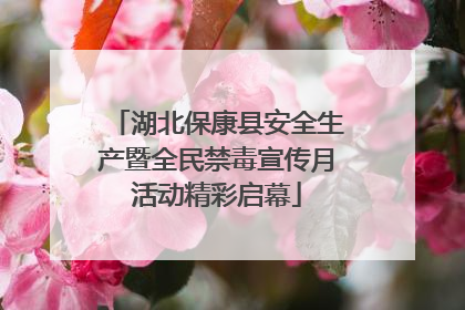 湖北保康县安全生产暨全民禁毒宣传月活动精彩启幕