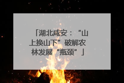 湖北咸安：“山上换山下”破解农林发展“瓶颈”