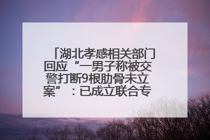 湖北孝感相关部门回应“一男子称被交警打断9根肋骨未立案”：已成立联合专班开展工作
