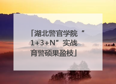 湖北警官学院“1+3+N”实战育警硕果盈枝