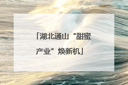 湖北通山“甜蜜产业”焕新机