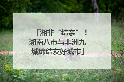 湘非“结亲”！湖南八市与非洲九城缔结友好城市