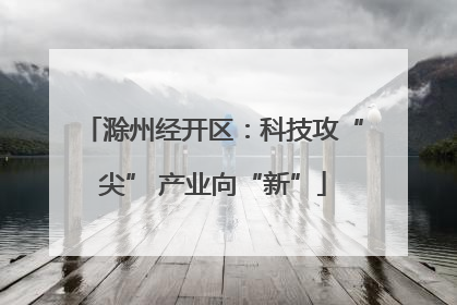 滁州经开区：科技攻“尖” 产业向“新”