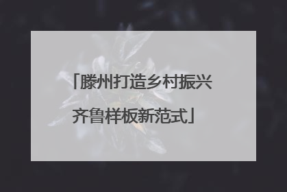滕州打造乡村振兴齐鲁样板新范式