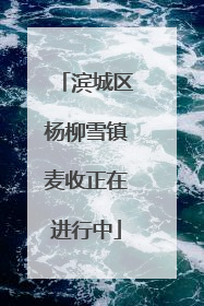 滨城区杨柳雪镇麦收正在进行中