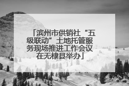 滨州市供销社“五级联动”土地托管服务现场推进工作会议在无棣县举办