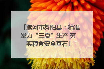 漯河市舞阳县：精准发力“三夏”生产 夯实粮食安全基石