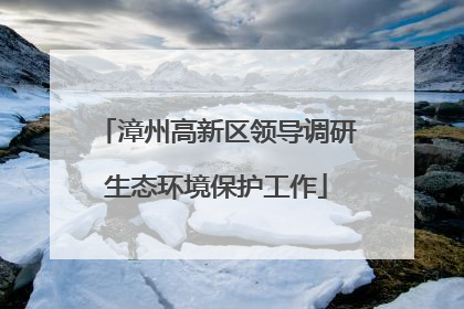 漳州高新区领导调研生态环境保护工作