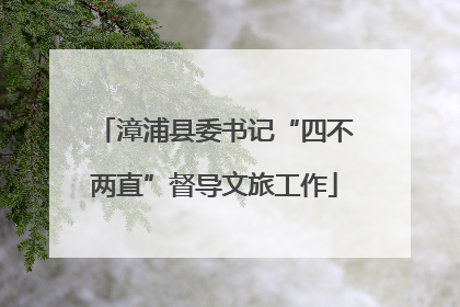 漳浦县委书记“四不两直”督导文旅工作