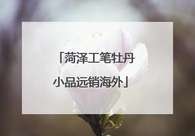 菏泽工笔牡丹小品远销海外