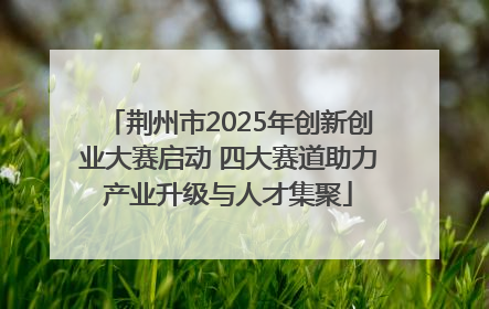 荆州市2025年创新创业大赛启动 四大赛道助力产业升级与人才集聚