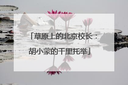 草原上的北京校长：胡小蒙的千里托举