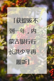 获提拔不到一年，内蒙古银行行长洪少平再履新