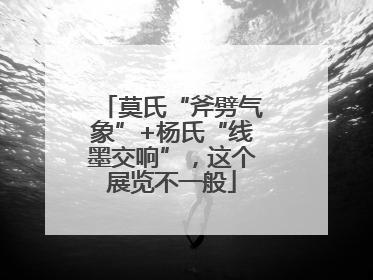 莫氏“斧劈气象”+杨氏“线墨交响”，这个展览不一般