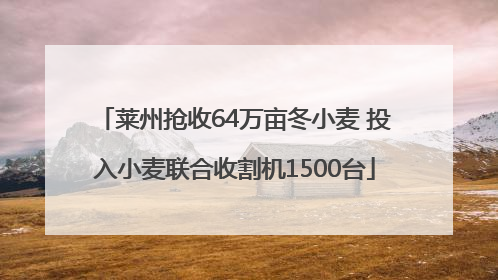 莱州抢收64万亩冬小麦 投入小麦联合收割机1500台