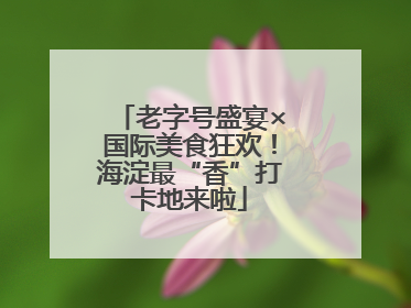 老字号盛宴×国际美食狂欢！海淀最“香”打卡地来啦