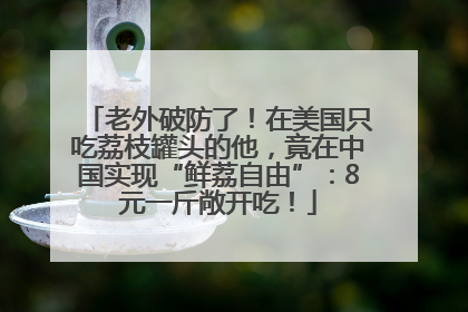老外破防了！在美国只吃荔枝罐头的他，竟在中国实现“鲜荔自由”：8元一斤敞开吃！