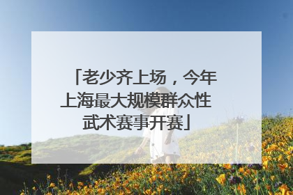 老少齐上场，今年上海最大规模群众性武术赛事开赛