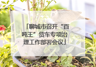 聊城市召开“百吨王”货车专项治理工作部署会议