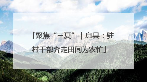聚焦“三夏”｜息县：驻村干部奔走田间为农忙