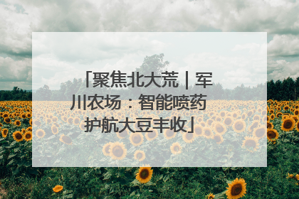 聚焦北大荒｜军川农场：智能喷药护航大豆丰收