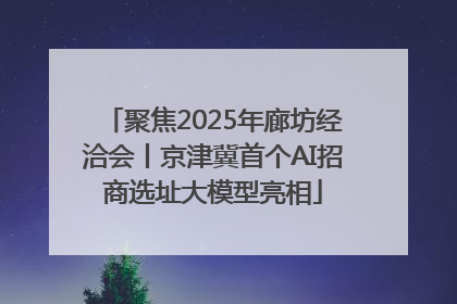 聚焦2025年廊坊经洽会丨京津冀首个AI招商选址大模型亮相