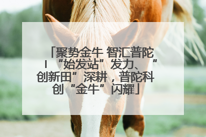 聚势金牛 智汇普陀〡“始发站”发力、“创新田”深耕，普陀科创“金牛”闪耀