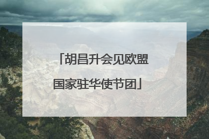 胡昌升会见欧盟国家驻华使节团