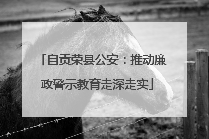 自贡荣县公安：推动廉政警示教育走深走实