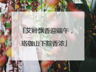 艾叶飘香迎端午，珞珈山下粽香浓