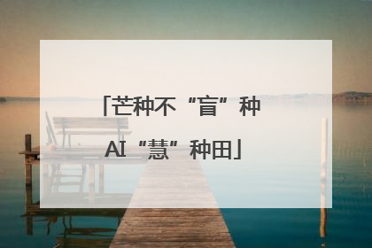 芒种不“盲”种 AI“慧”种田