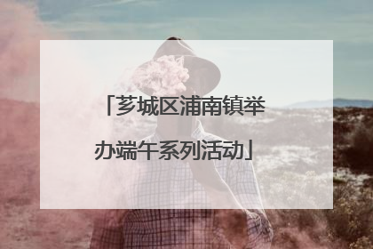 芗城区浦南镇举办端午系列活动