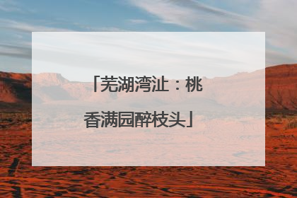 芜湖湾沚：桃香满园醉枝头